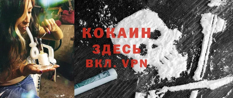 Cocaine FishScale  продажа наркотиков  Заполярный 